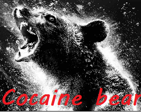 Real story of Cocaine Bear